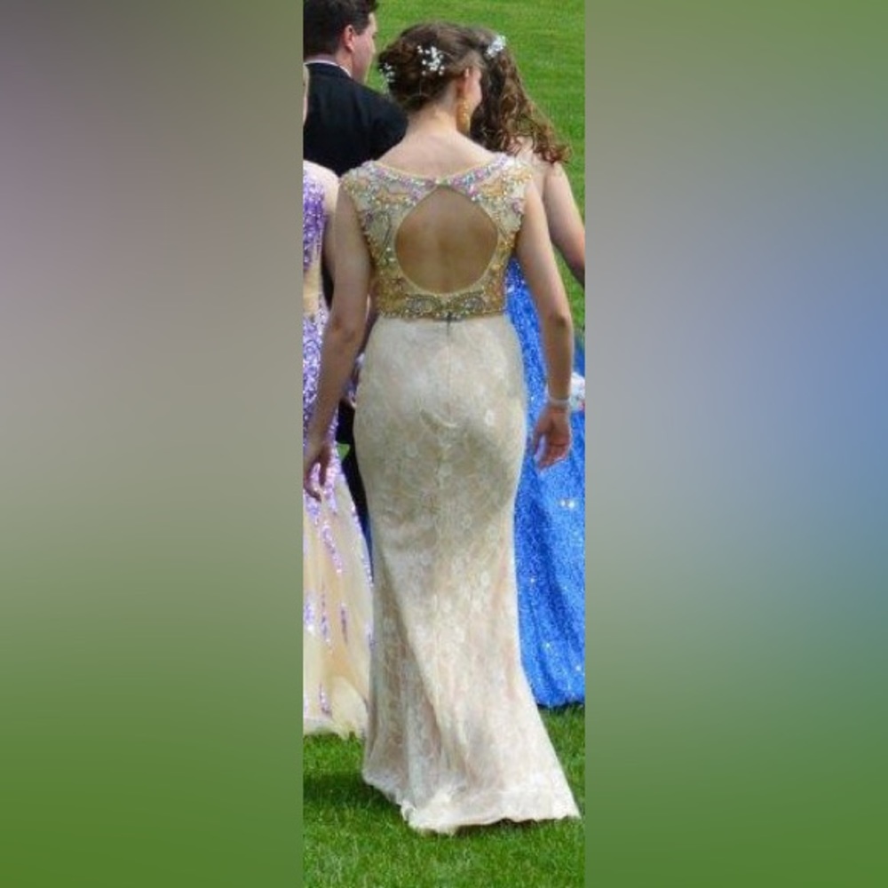 Prom Dress - Picture 4 of 5